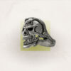 Bague Necropolis – Image 3